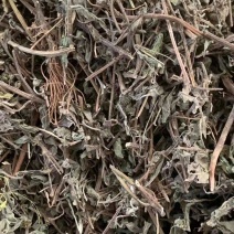 旱莲草【包邮】三斤起发货可批量可零售量大从优