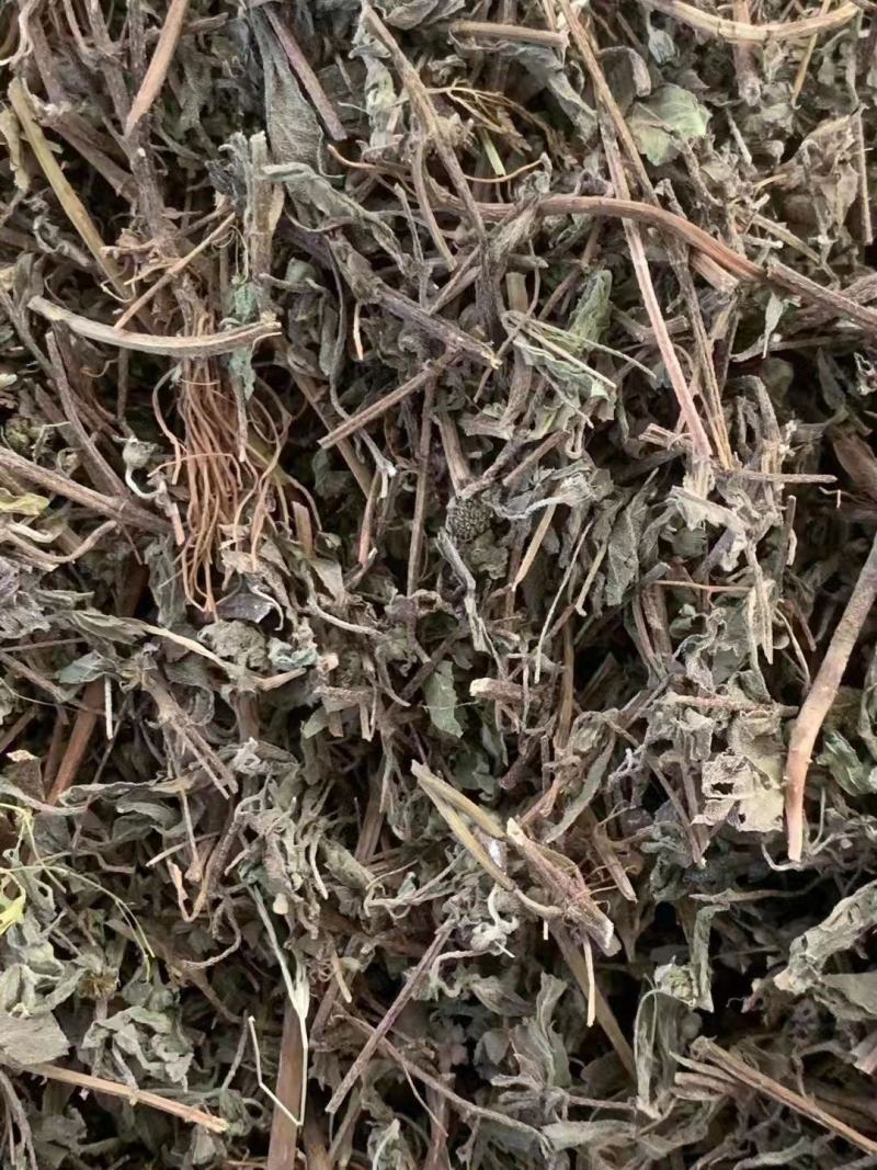 旱莲草【包邮】三斤起发货可批量可零售量大从优