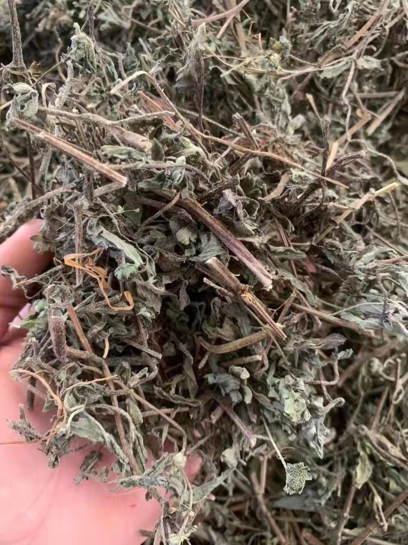 旱莲草【包邮】三斤起发货可批量可零售量大从优