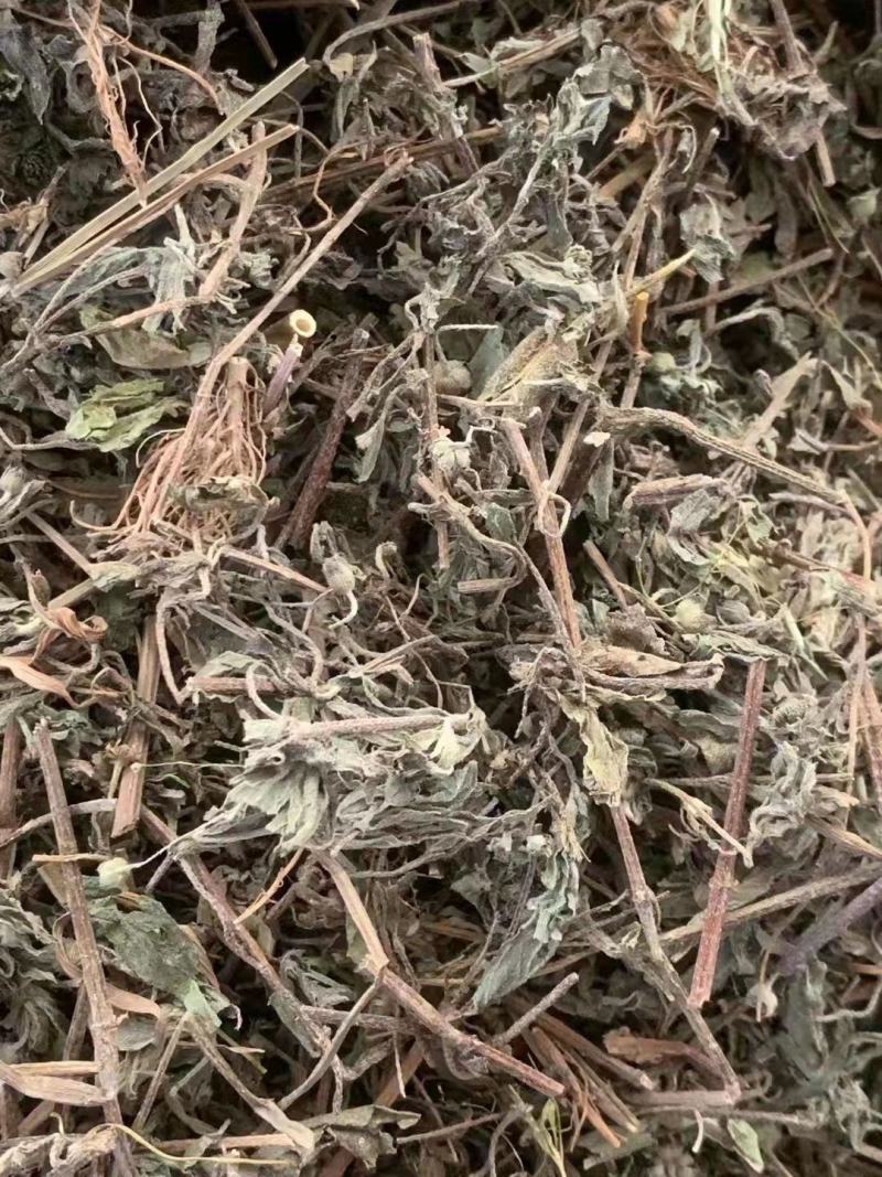 旱莲草【包邮】三斤起发货可批量可零售量大从优