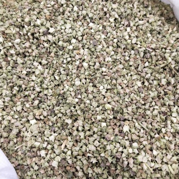 蒺藜，各种规格蒺藜，兽药用蒺藜。过色选合格蒺藜