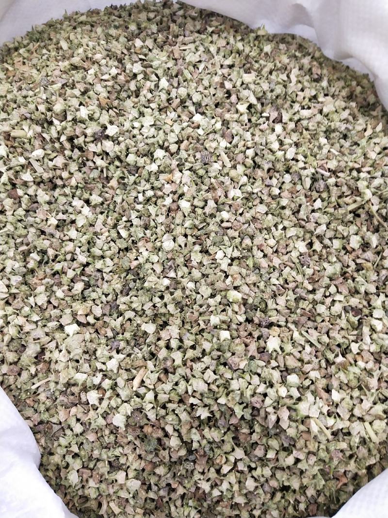 蒺藜，各种规格蒺藜，兽药用蒺藜。过色选合格蒺藜
