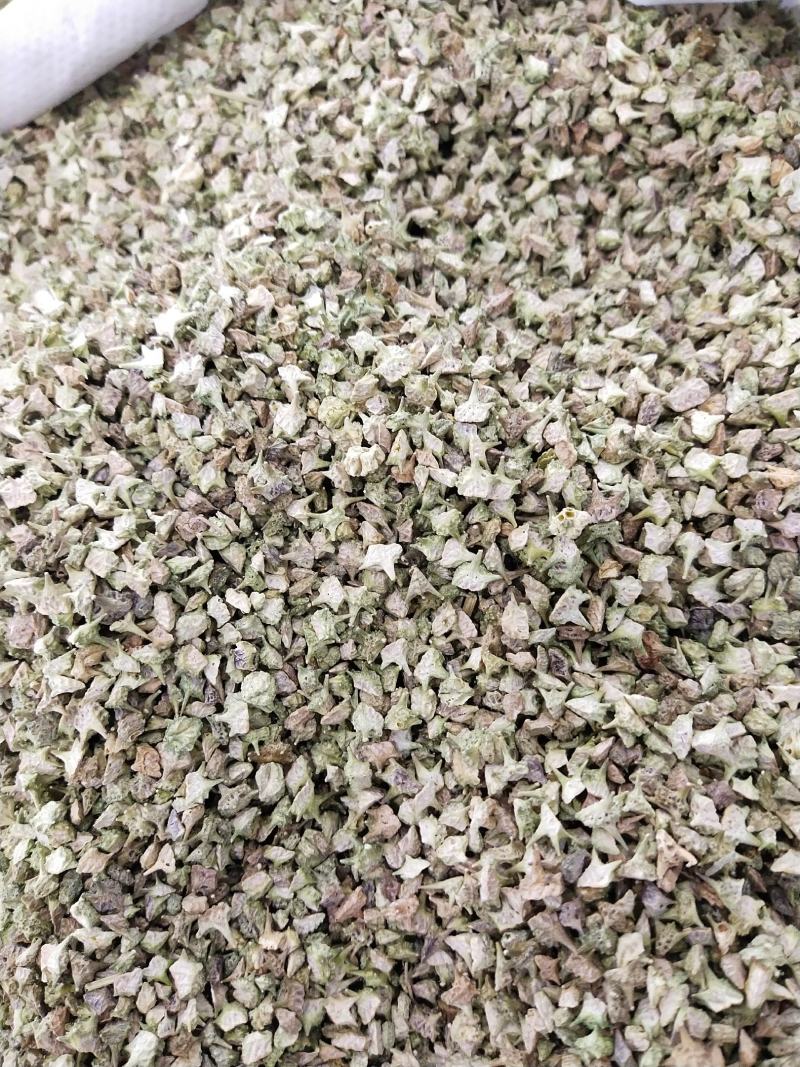 蒺藜，各种规格蒺藜，兽药用蒺藜。过色选合格蒺藜