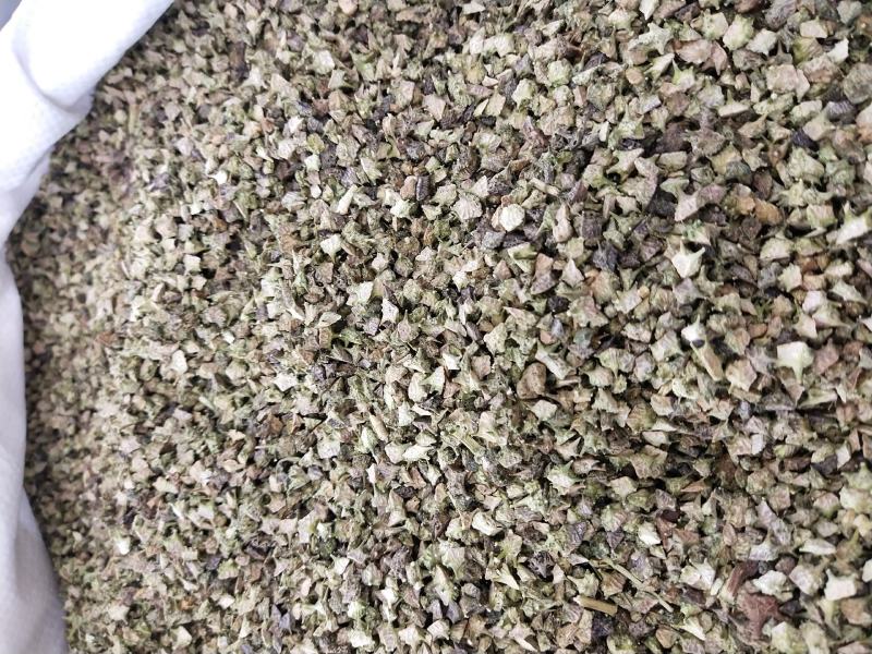 蒺藜，各种规格蒺藜，兽药用蒺藜。过色选合格蒺藜