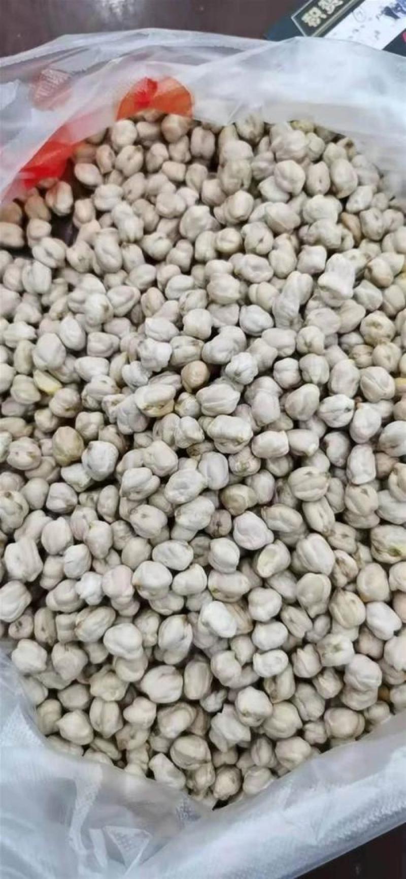 鹰嘴豆，新疆野生天麻子，鹰嘴豆质量上乘欢迎咨询合作！