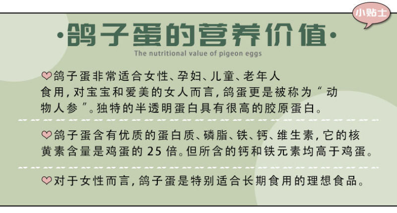 鸽子蛋新鲜白信鸽初生蛋农家五谷杂粮散养20枚30枚孕妇宝