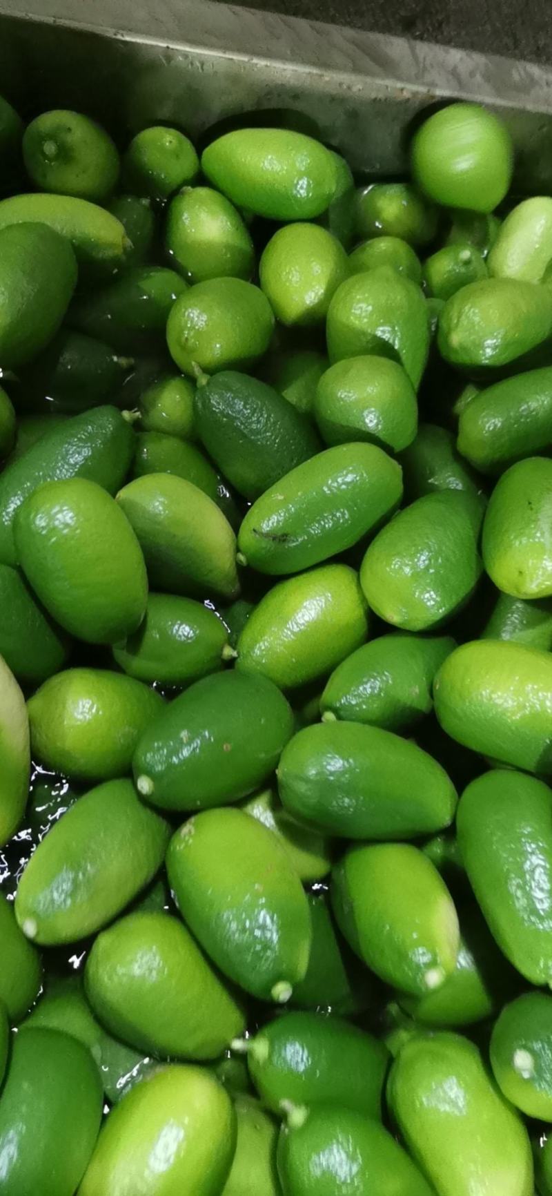 香水柠檬