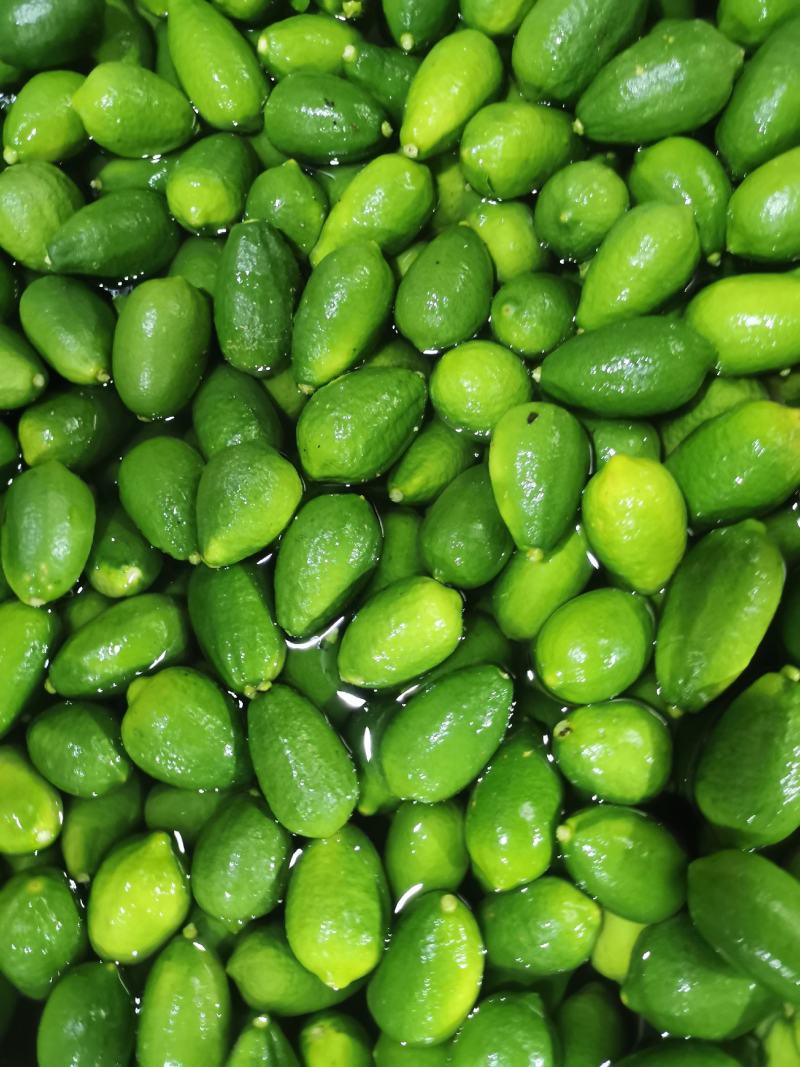 香水柠檬
