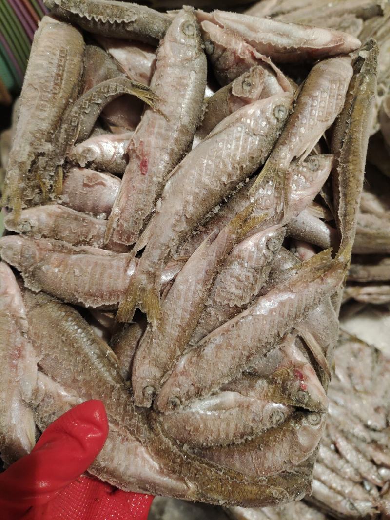 白鱼，淡水鱼，马口，桃花马口，手工去肚，没有土腥味