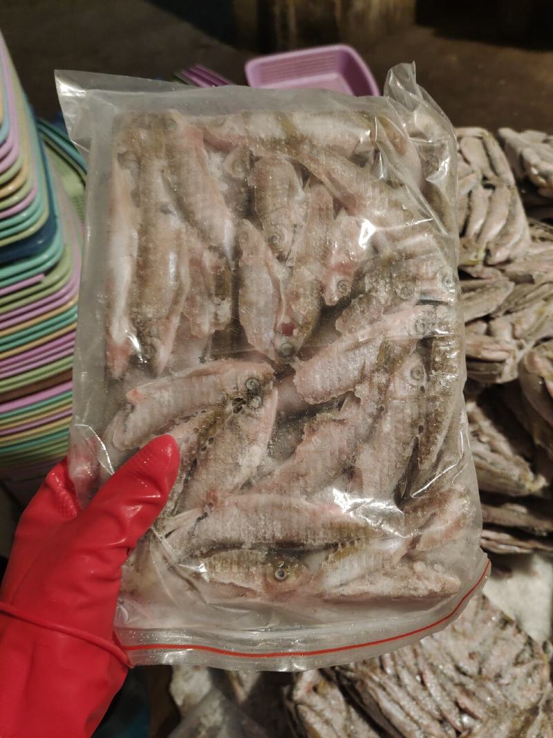 白鱼，淡水鱼，马口，桃花马口，手工去肚，没有土腥味