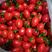 圣女果，小番茄云南精品圣女果保质保量酱果支持一件代发