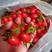 圣女果，小番茄云南精品圣女果保质保量酱果支持一件代发