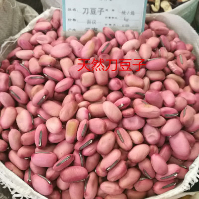 刀豆，精品红刀豆质量保证，经营各种中药材欢迎咨询合作！