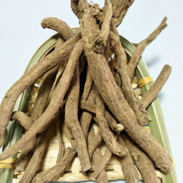 紫金龙，中药材紫金龙正品保证，经营各种中药材欢迎咨询合作