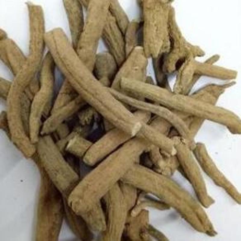 紫金龙，中药材紫金龙正品保证，经营各种中药材欢迎咨询合作
