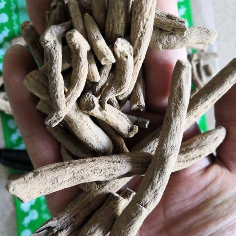 紫金龙，中药材紫金龙正品保证，经营各种中药材欢迎咨询合作