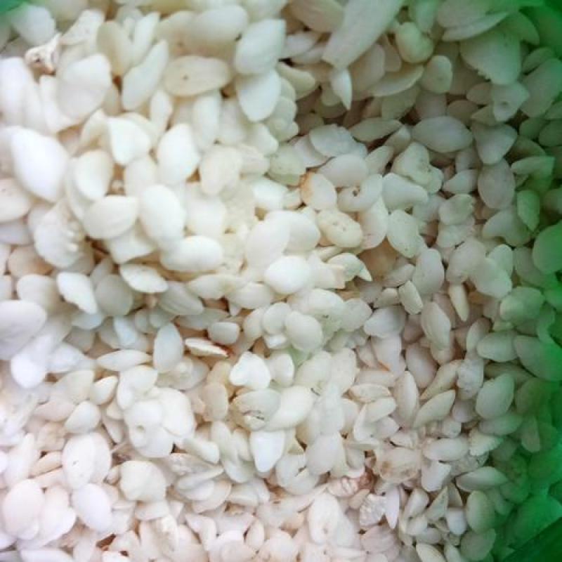 鱼脑石，中药材鱼脑石质量保证，经营各种中药材欢迎咨询合作