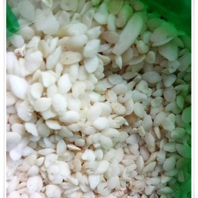 鱼脑石，中药材鱼脑石质量保证，经营各种中药材欢迎咨询合作