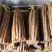 河北安平山药小白嘴山药产地直发一手货源品质保证欢迎联
