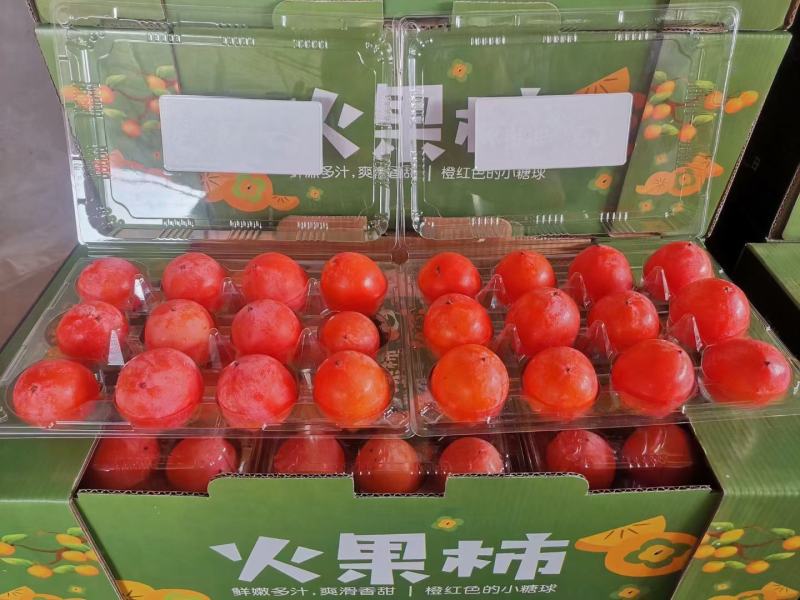 吊红柿子，珠柿，火罐柿子大量上市中！对接各大商超电商平台
