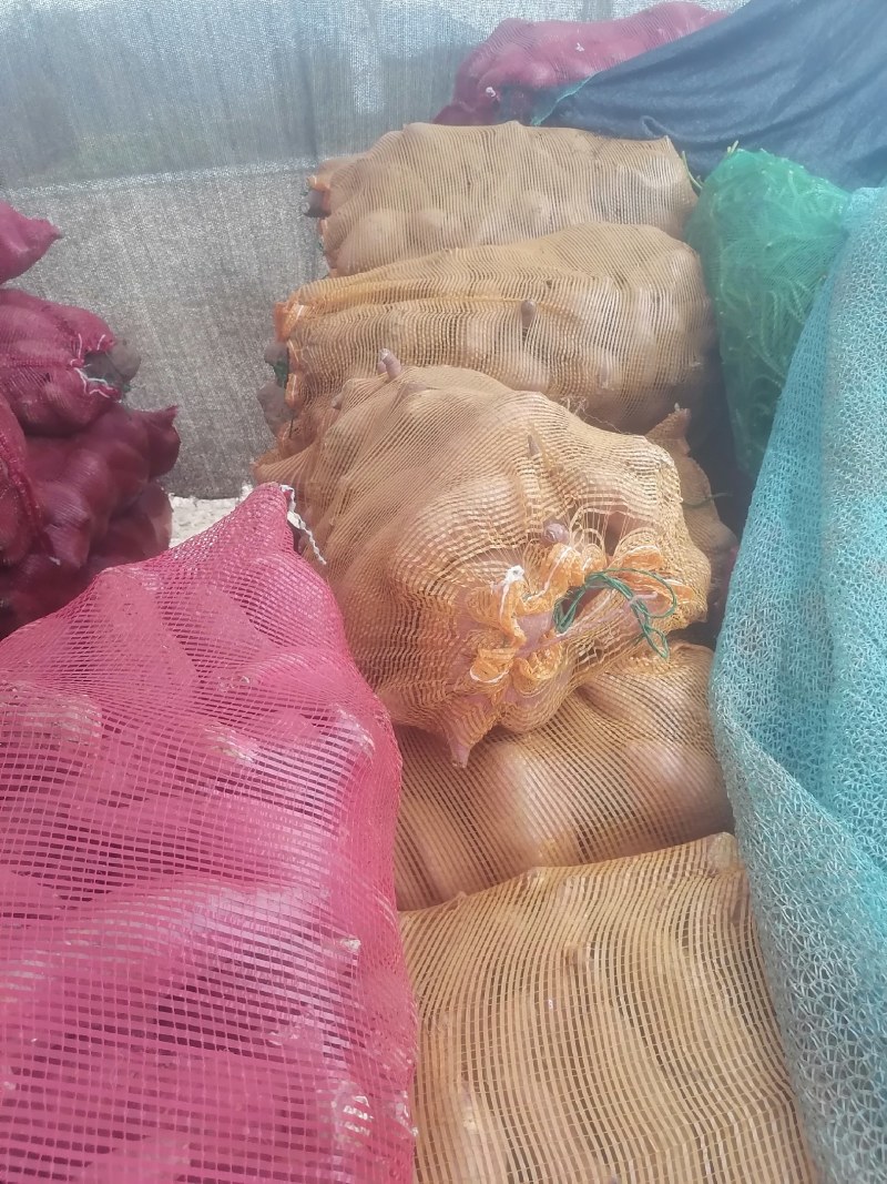 西瓜红加工薯，3两以上网袋装，欢迎前来订购
