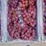 辽宁鲅鱼圈（产地直发）陆地库里红提葡萄大量供应4元左右