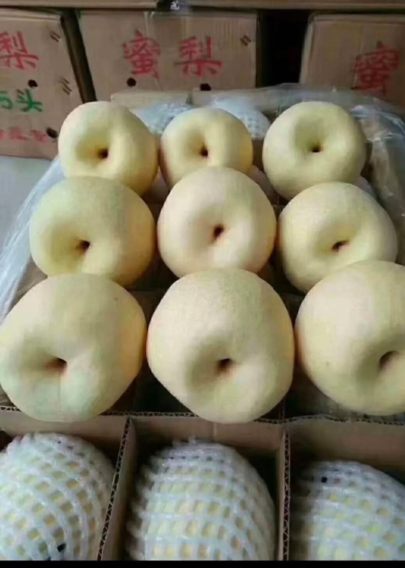 泾河畔的酥梨，纸袋，3两一4两，小梨，果面干净细腻