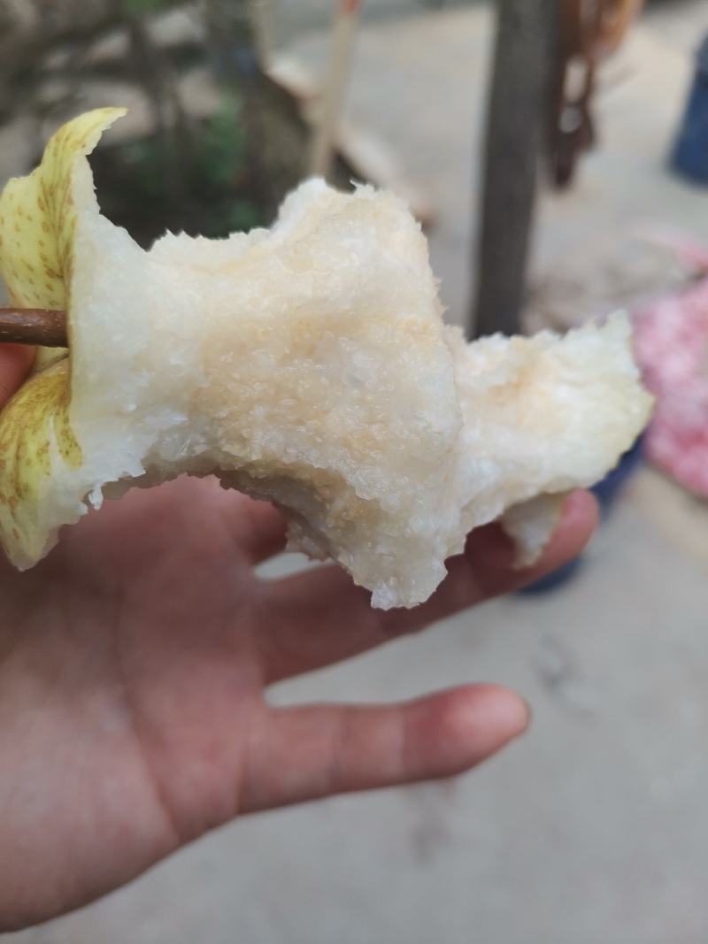 泾河畔的酥梨，纸袋，3两一4两，小梨，果面干净细腻