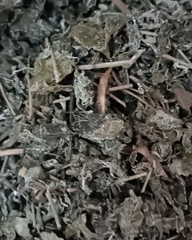 售卖野生藤茶
