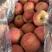 山东红富士苹果产地大量现货，价格便宜全国现货，质量保证好
