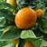 湖北特早蜜橘精品小叶桔果园看货现摘按需釆果按需包装