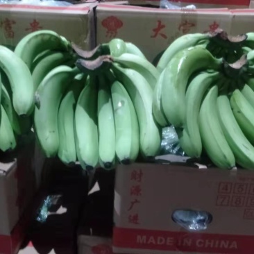 香蕉