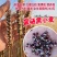 黑金刚黑小麦紫麦绿小麦种子芽率高黑麦种子原种散装高营养高