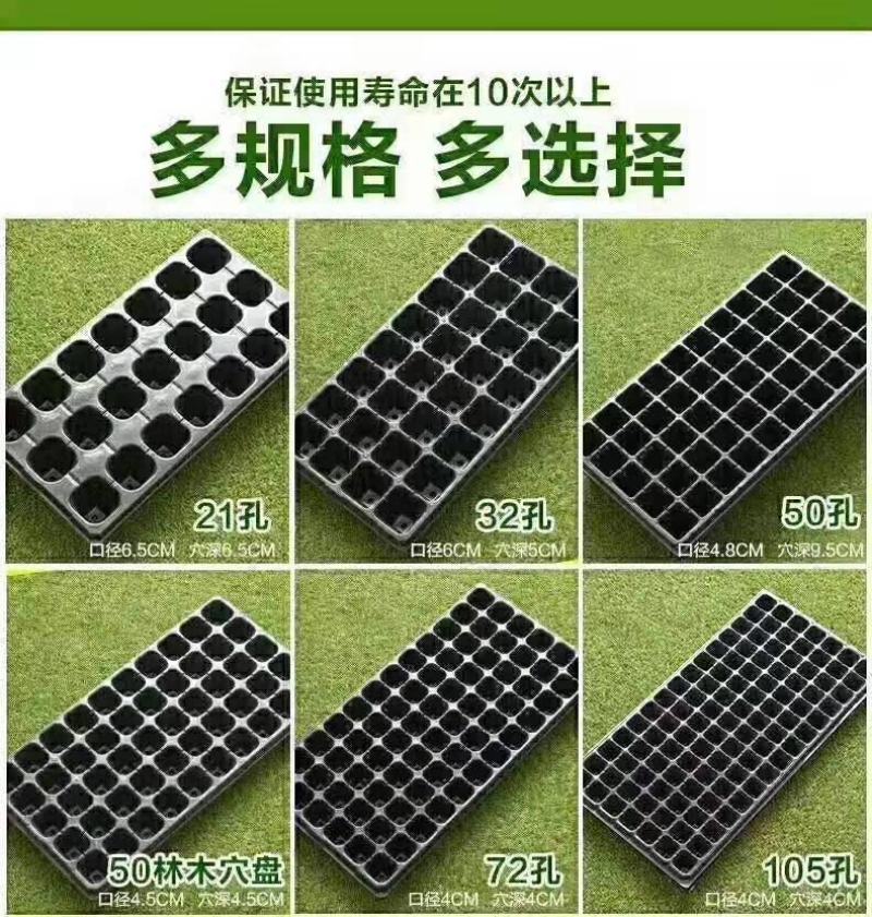育苗穴盘，瓜果蔬菜，花卉林木扦插多肉植物草莓盘专用穴盘，