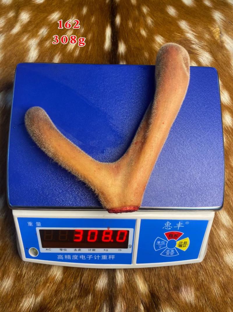 特别推荐，鲜鹿茸。各种规格连刀切，鹿茸片