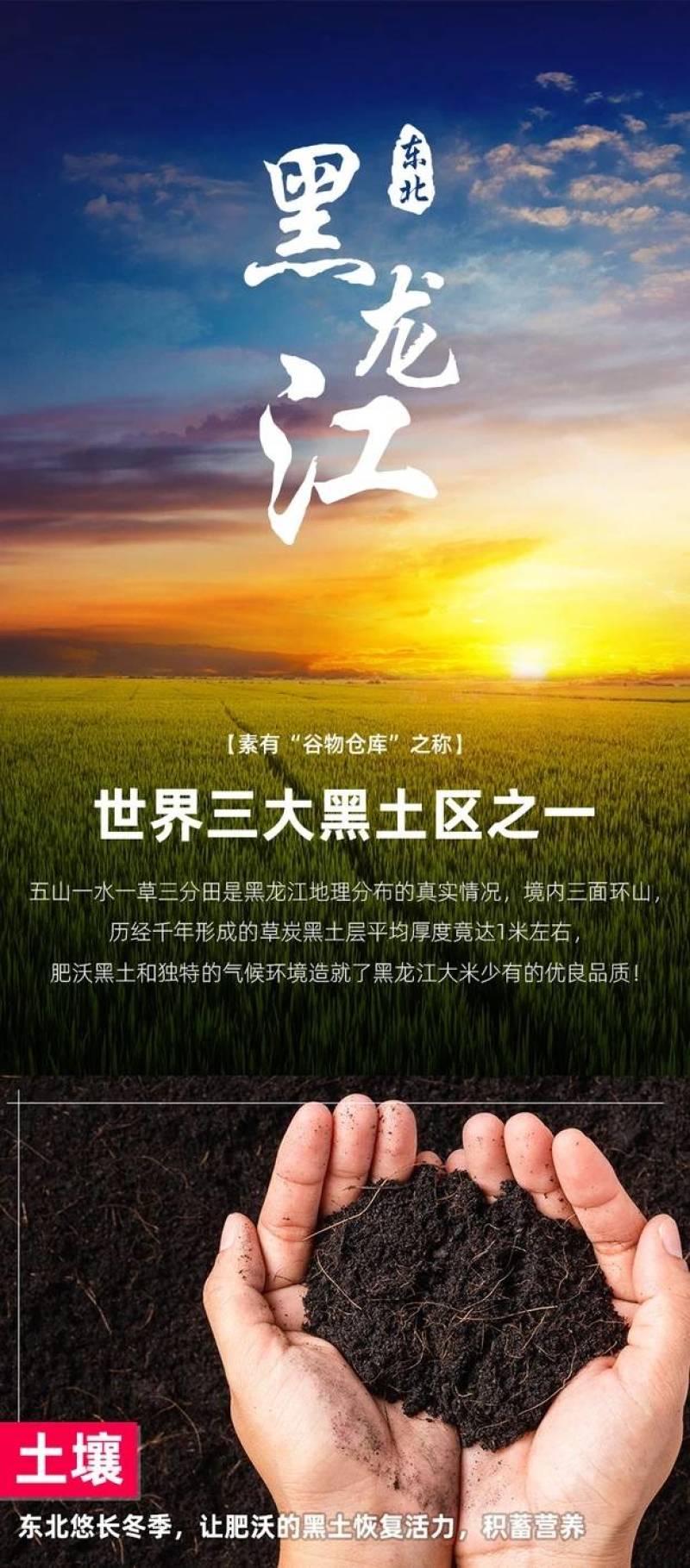 东北大米长粒香糯米