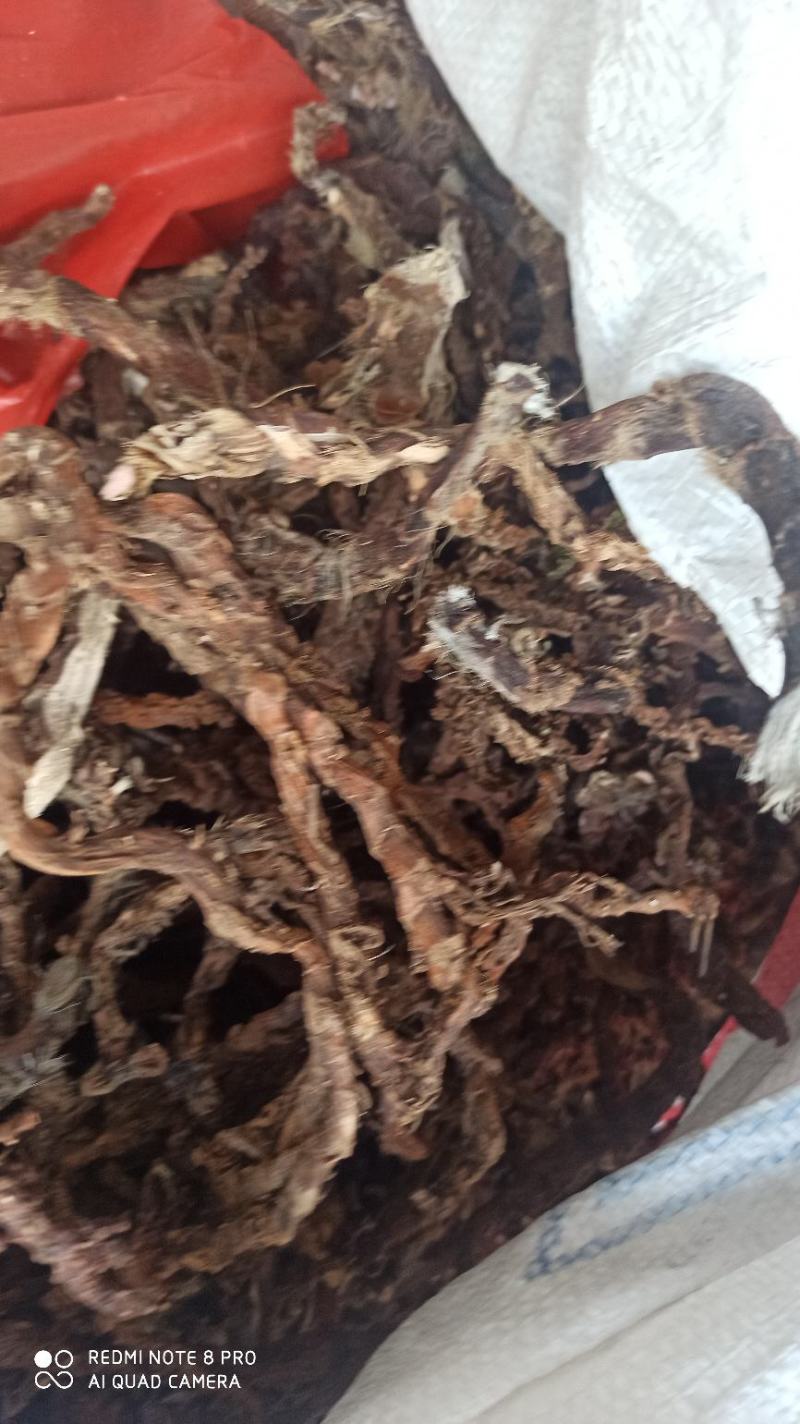 石昌蒲，干石昌蒲根野生石菖蒲