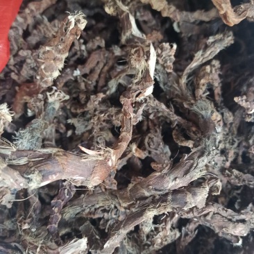 石昌蒲，干石昌蒲根野生石菖蒲