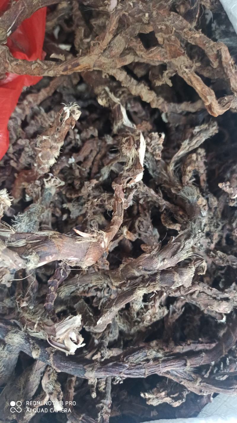石昌蒲，干石昌蒲根野生石菖蒲