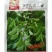 早生一号扁豆种子极早熟适宜大面积种植采收期200天