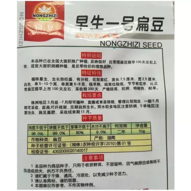 红遍天早熟扁豆种子株洲农之子80天，耐热耐旱