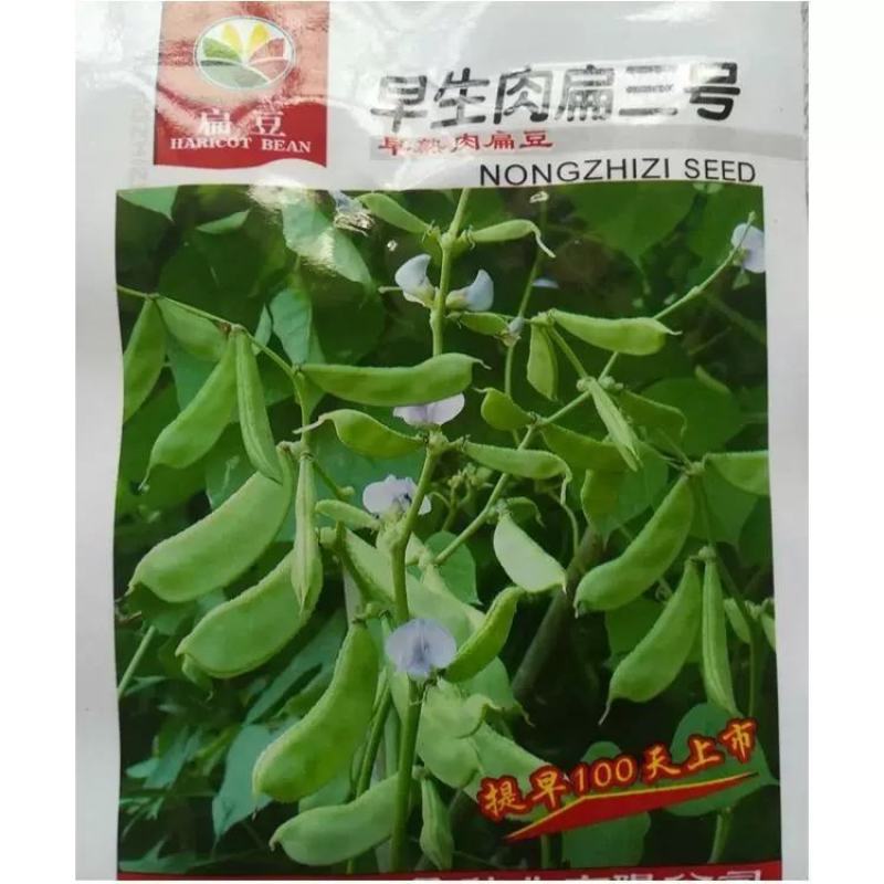 红遍天早熟扁豆种子株洲农之子80天，耐热耐旱