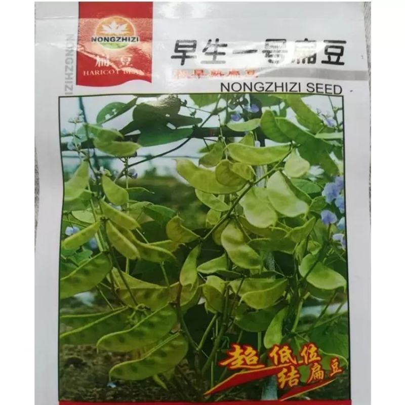 红遍天早熟扁豆种子株洲农之子80天，耐热耐旱