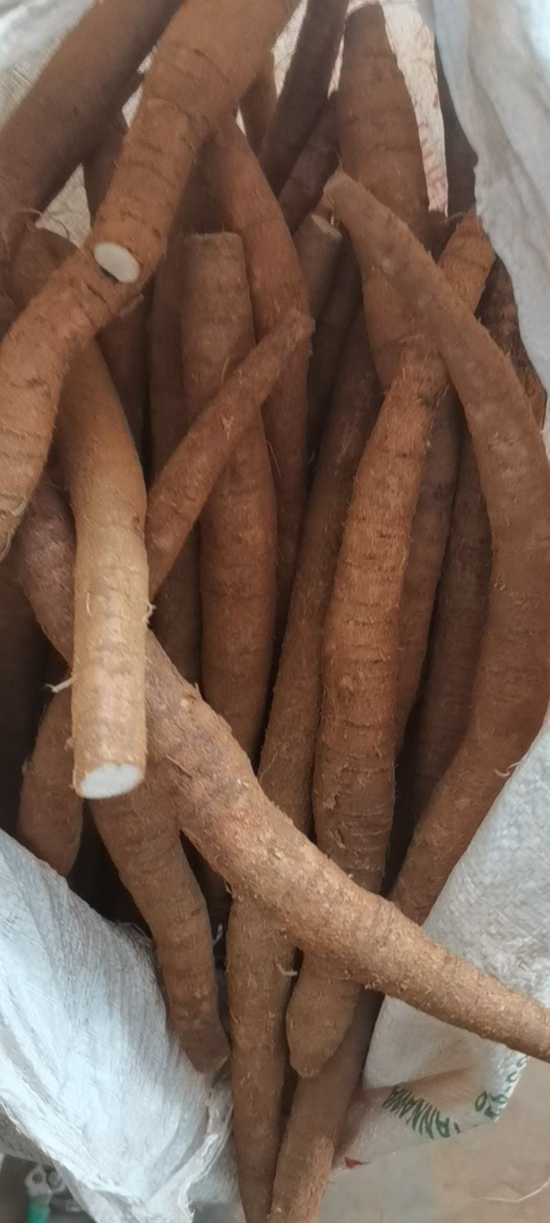 惠州牛大力