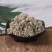 茵陈草中药材野生干货当天发货足斤足两质量保证