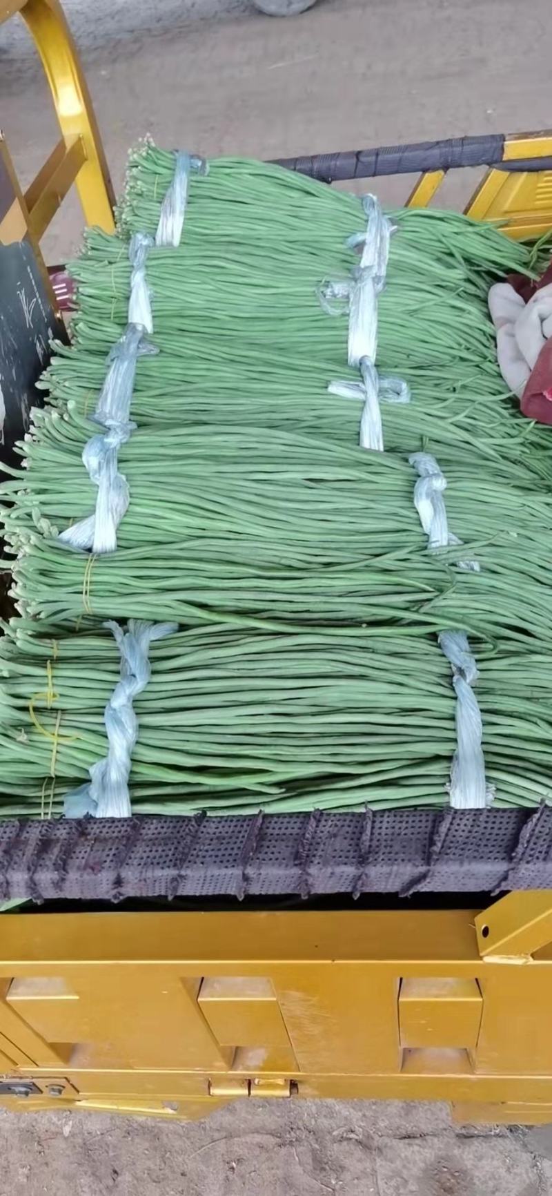 豆角