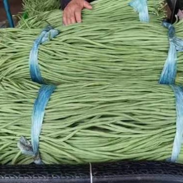 豆角