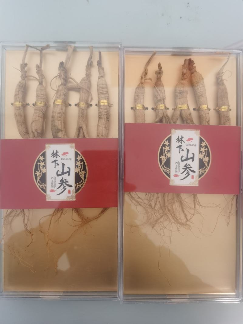 【特别推荐】特价精品林下参小礼盒，单支装，简洁大方