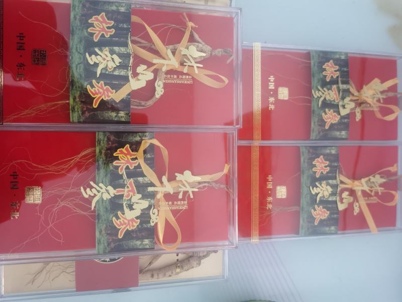 【特别推荐】特价精品林下参小礼盒，单支装，简洁大方