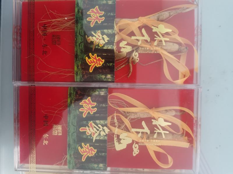 【特别推荐】特价精品林下参小礼盒，单支装，简洁大方